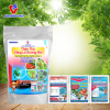Túi thán thư vàng lá sương mai Lâm Hồng Phát – Xử lý sâu thán thư, khóa nấm bền vững, an toàn cây trồng