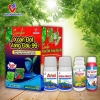 Combo Xoăn Đọt – Vàng Đầu 99: Giải Pháp Toàn Diện Cho Cây Khỏe, Lá Xanh, Hết Bệnh
