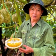 Chú Bình