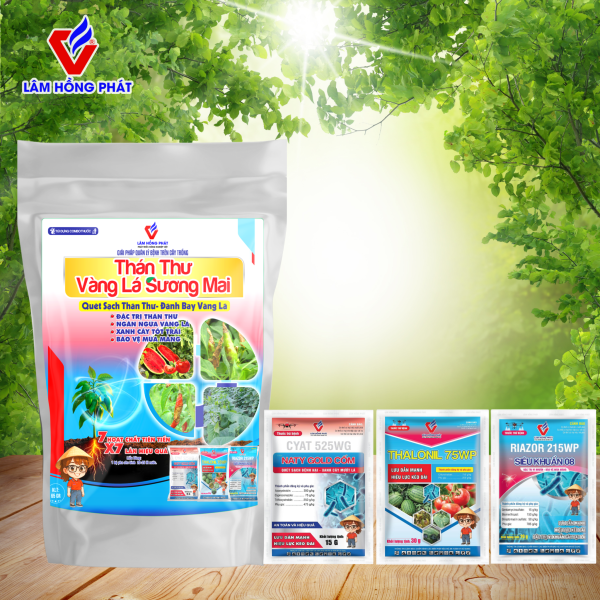 Túi thán thư vàng lá sương mai Lâm Hồng Phát – Xử lý sâu thán thư, khóa nấm bền vững, an toàn cây trồng