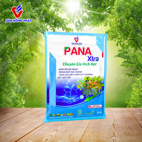 PANA Xtra – Chuyên Gia Kích Đọt Cực Mạnh