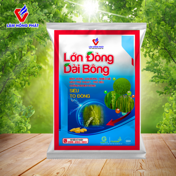 Lớn Đòng Dài Bông – Siêu To Đòng