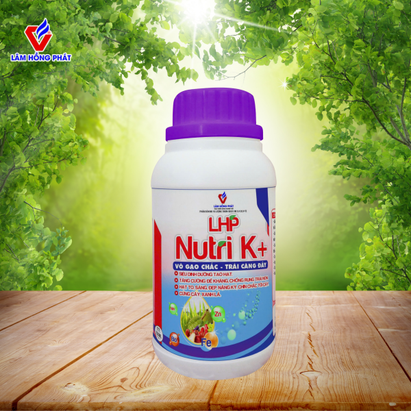 Nutri K+ Lâm Hồng Phát – Vô Gạo Chắc, Trái Căng Đầy, Hạt To Sáng Đẹp
