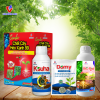 Combo Chết Cây – Héo Xanh 99: Công Nghệ Hàng Đầu Giúp Bảo Vệ Rễ, Ngừa Tuyến Trùng, Chống Héo Xanh