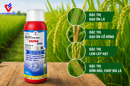 Zappa Xtra – Giải Pháp Tiêu Diệt Nhanh Nấm Bệnh, Phòng Trừ Đạo Ôn Và Lem Lép Hiệu Quả
