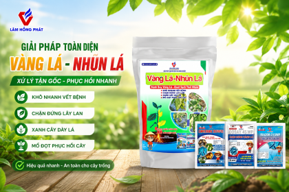 Túi Xử Lý Vàng Lá Nhũn Lá – Giải Pháp Xử Lý Tận Gốc, Phục Hồi Nhanh Cho Cây Trồng