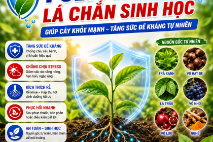 Polyphenol Là Gì? "Lá Chắn Sinh Học" Giúp Cây Khỏe Mạnh, Tăng Sức Đề Kháng Tự Nhiên