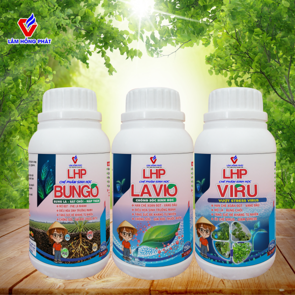 COMBO XOĂN ĐỌT - KHẢM LÁ 100: Mở Đọt Nhanh Sau 1 Lần Phun - 100% Sinh Học