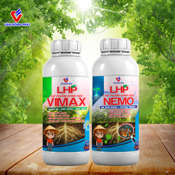 COMBO HÉO XANH - HÉO RŨ 100 : Giải Pháp Sinh Học Phòng Héo Xanh, Héo Rũ, Phục Hồi Bộ Rễ, Quản Lý Tuyến Trùng Hiệu Quả